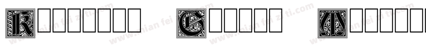 Karasuma Gothic Medi字体转换